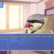Image for article titled Charm Your Way To a Better Valentine’s Day With These Dating Simulators